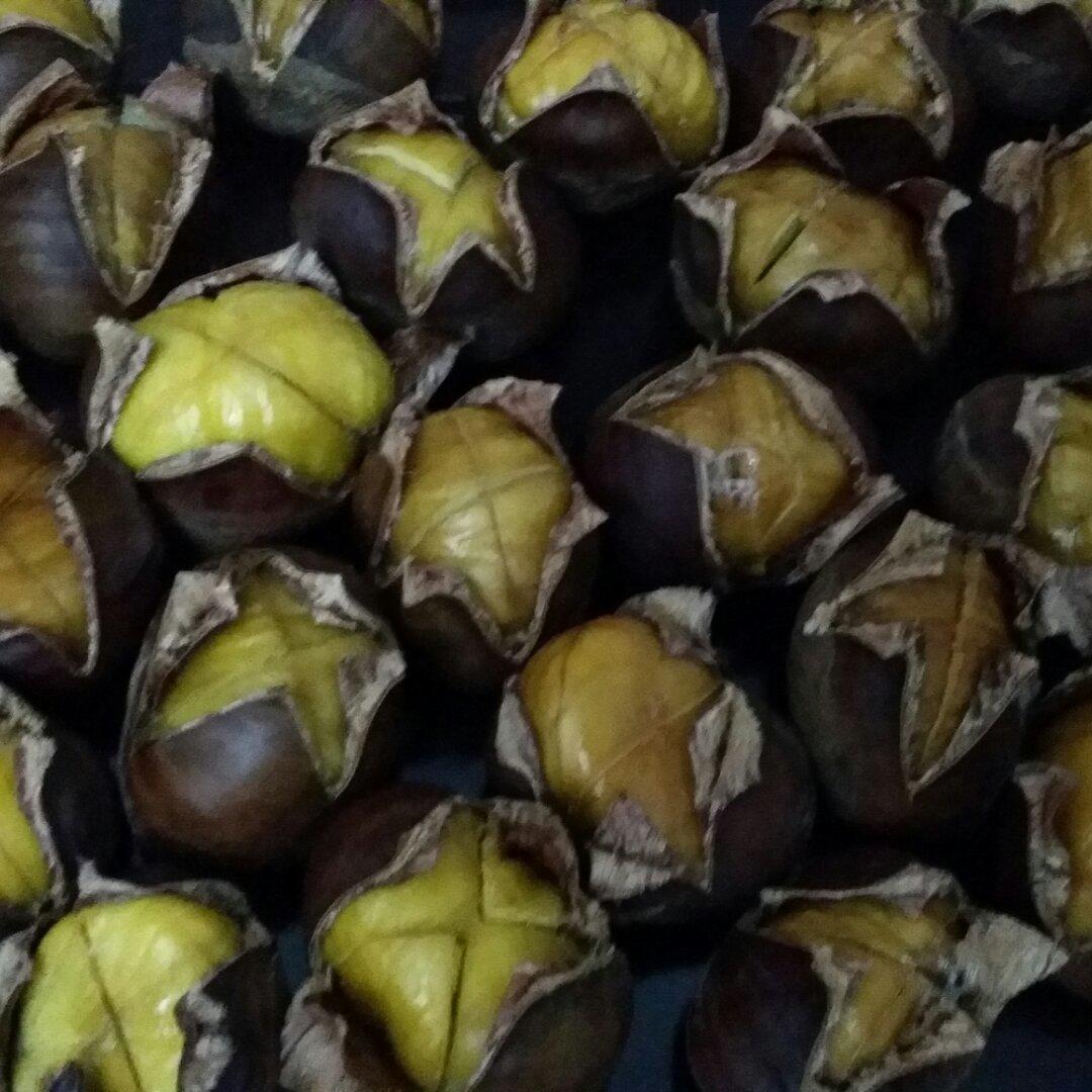 新手零失败烤栗子