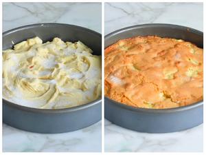 法式甜品—苹果蛋糕（Gâteau aux pommes）的做法 步骤7