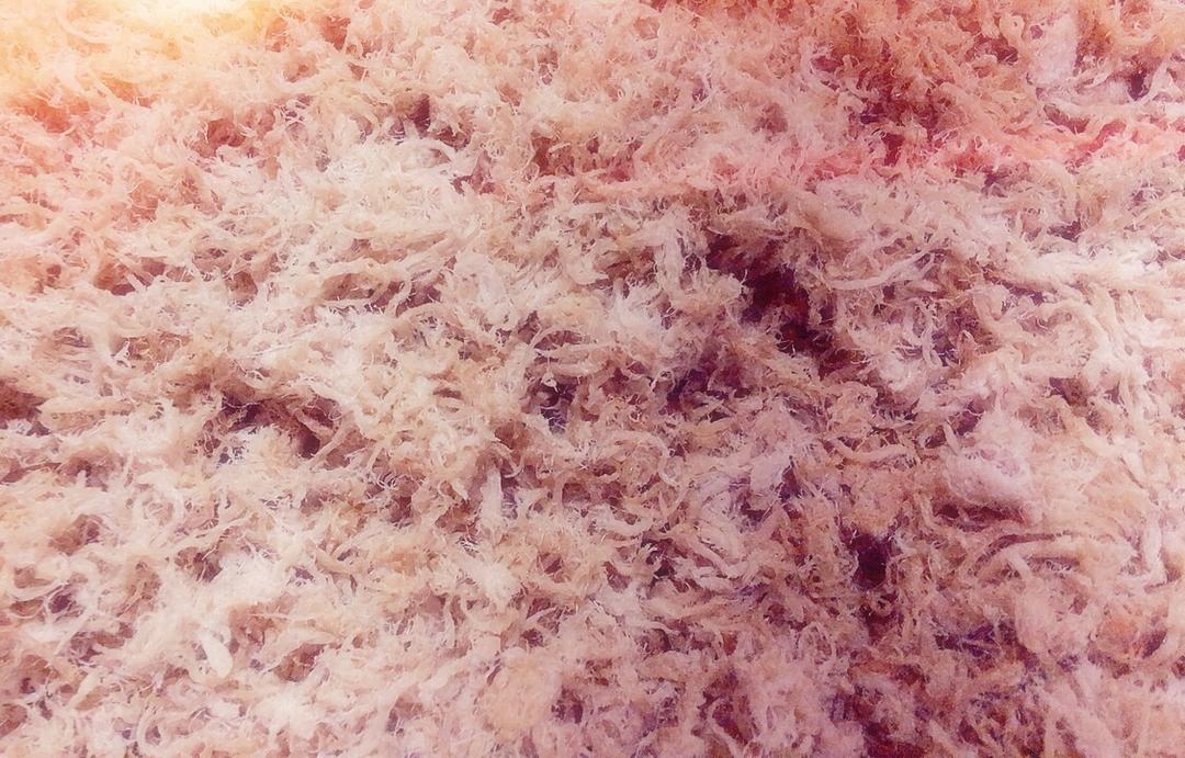 自制肉松的做法