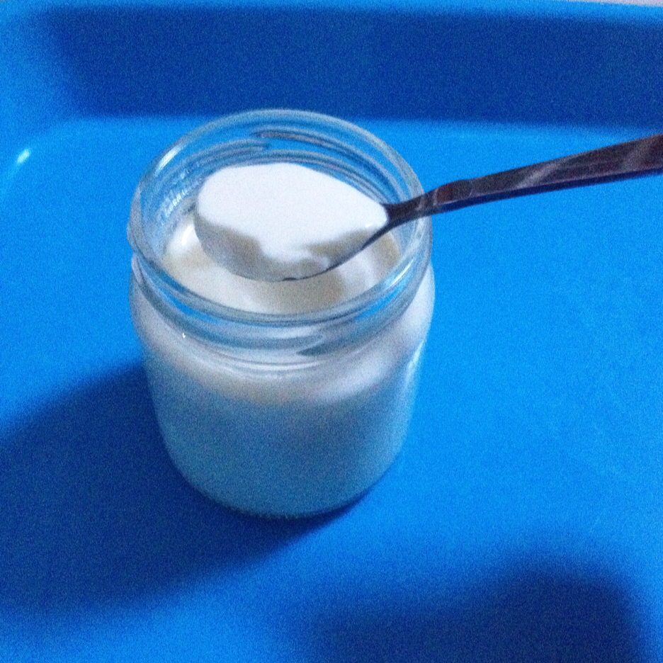 面包机版自制酸奶