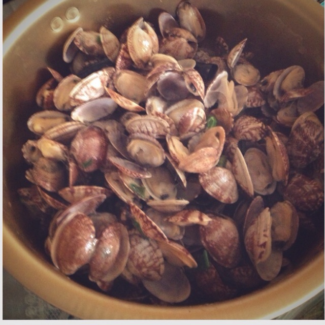 酒蒸蛤蜊-深夜食堂