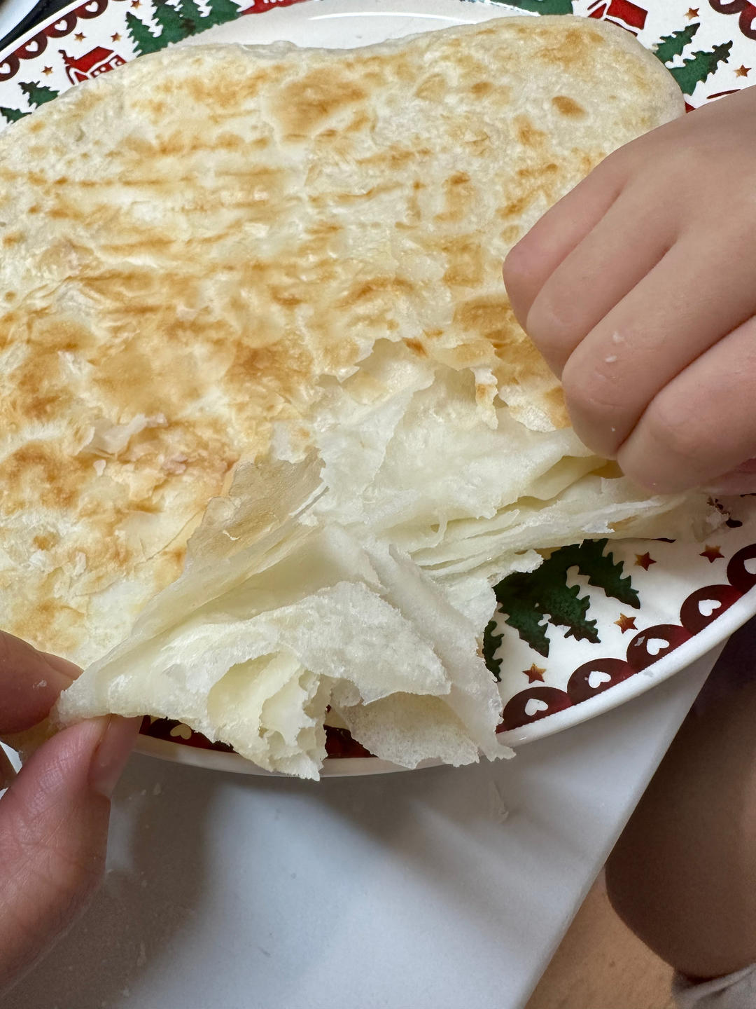 家常大饼烙饼的做法