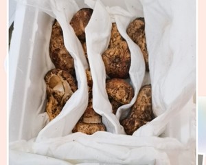 高端的食材要用最朴素的烹饪方法-第1张图片-农百科 高端的食材要用最朴素的烹饪方法-第1张图片-农百科