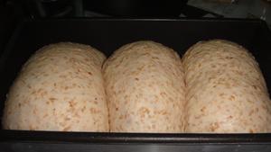 免揉+低温长时间发酵的BBA低脂全麦吐司的做法 步骤20
