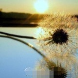 随风摇曳的围脖