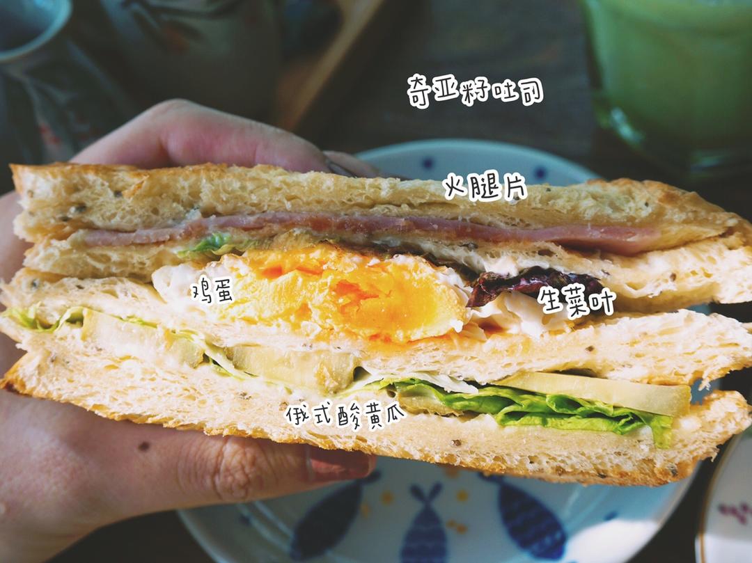 每天都想吃三明治