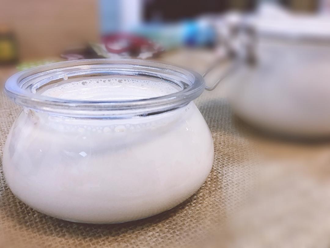 没腥味的花胶牛奶冻