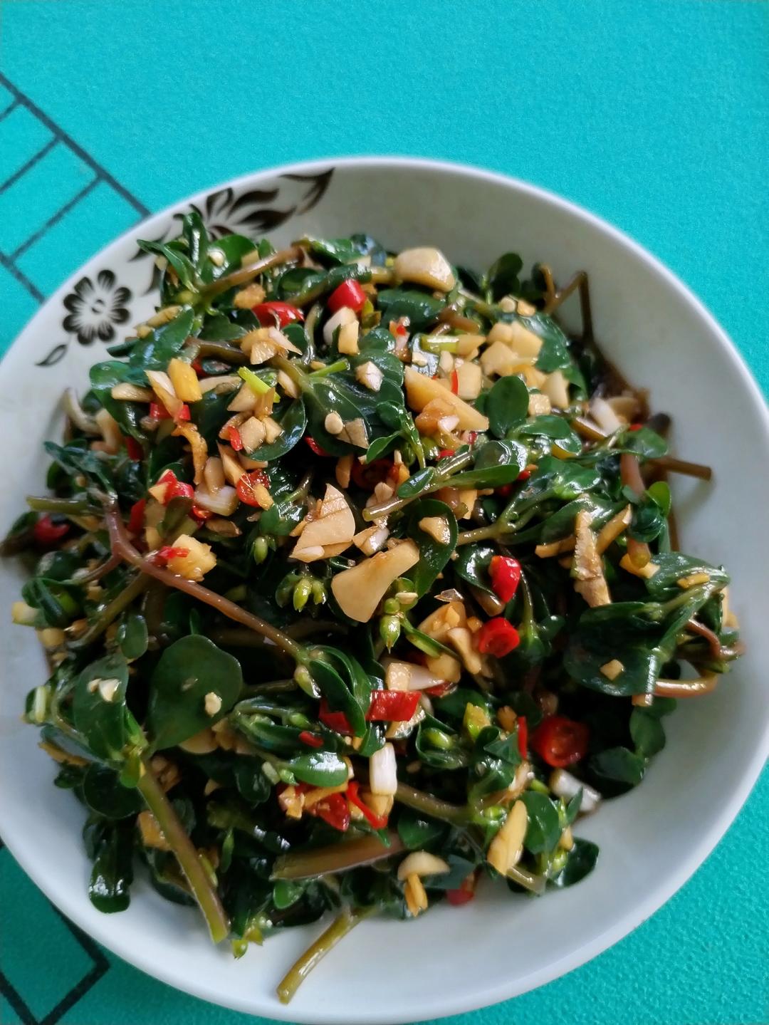 吃盘野菜 凉拌马齿苋