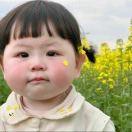 小西今年要学会做菜