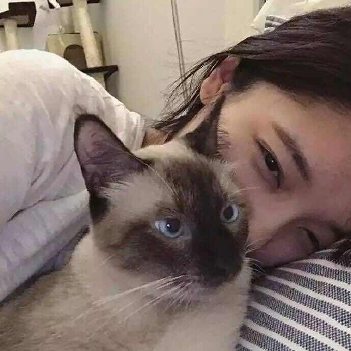 ൠ梦ྉ想ྉ吃ྉ海ྉ贼ྉ王ྉൠ的厨房