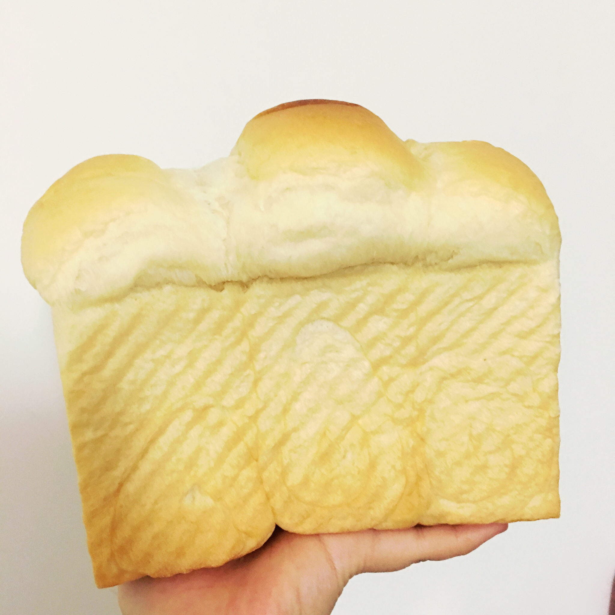 【北海道吐司】体验经典-妃娟100%中种，冷藏冰种的美味