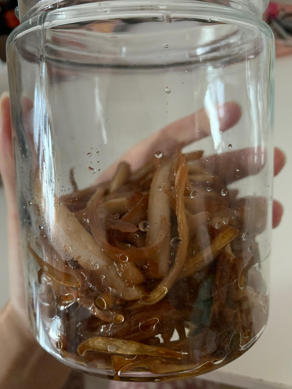 杏鲍菇获“终生成就奖”，这样一菇两吃真让人幸福到哭~自制菌油·圆满素食