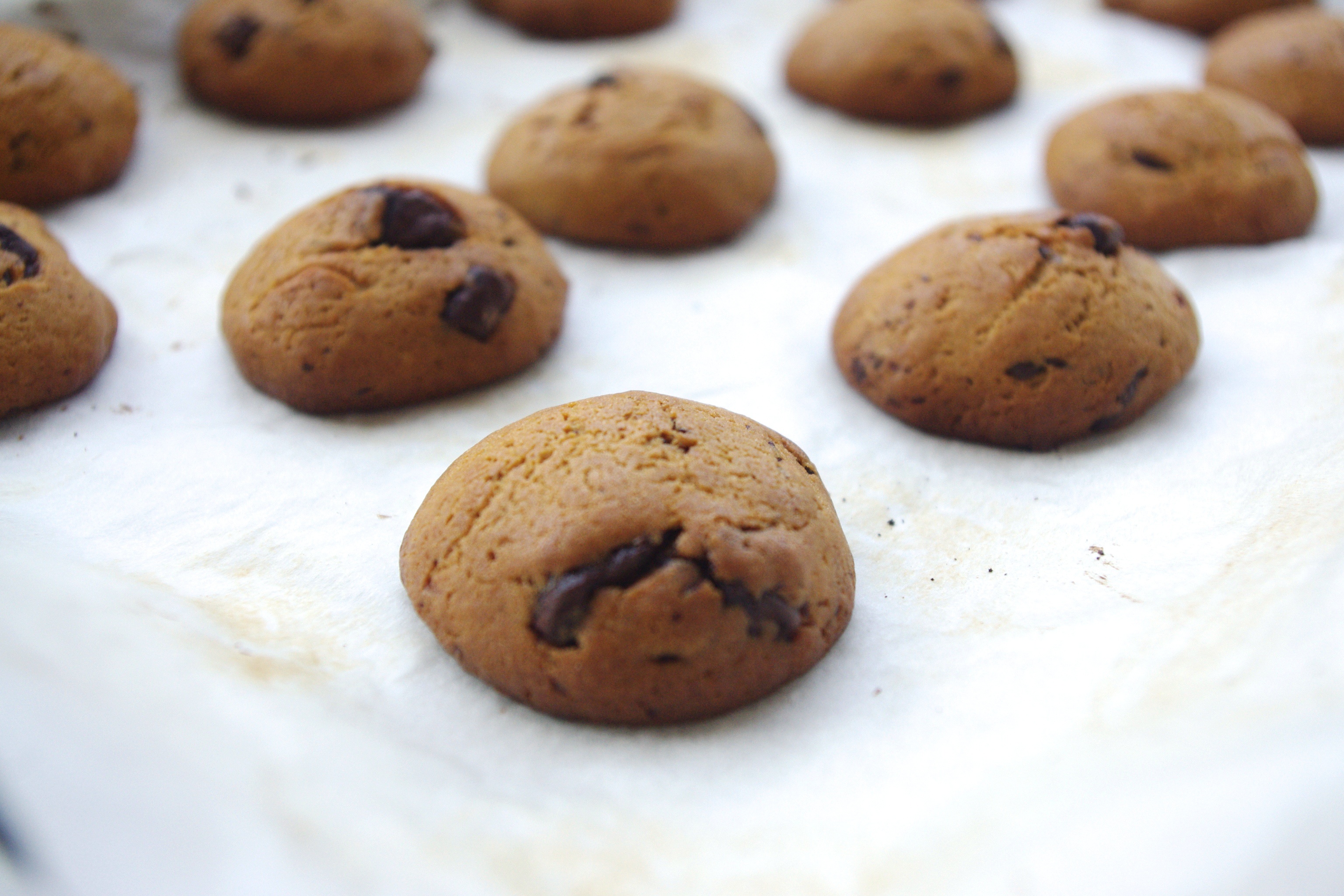 巧克力豆曲奇(Chocolate Chip Cookies)