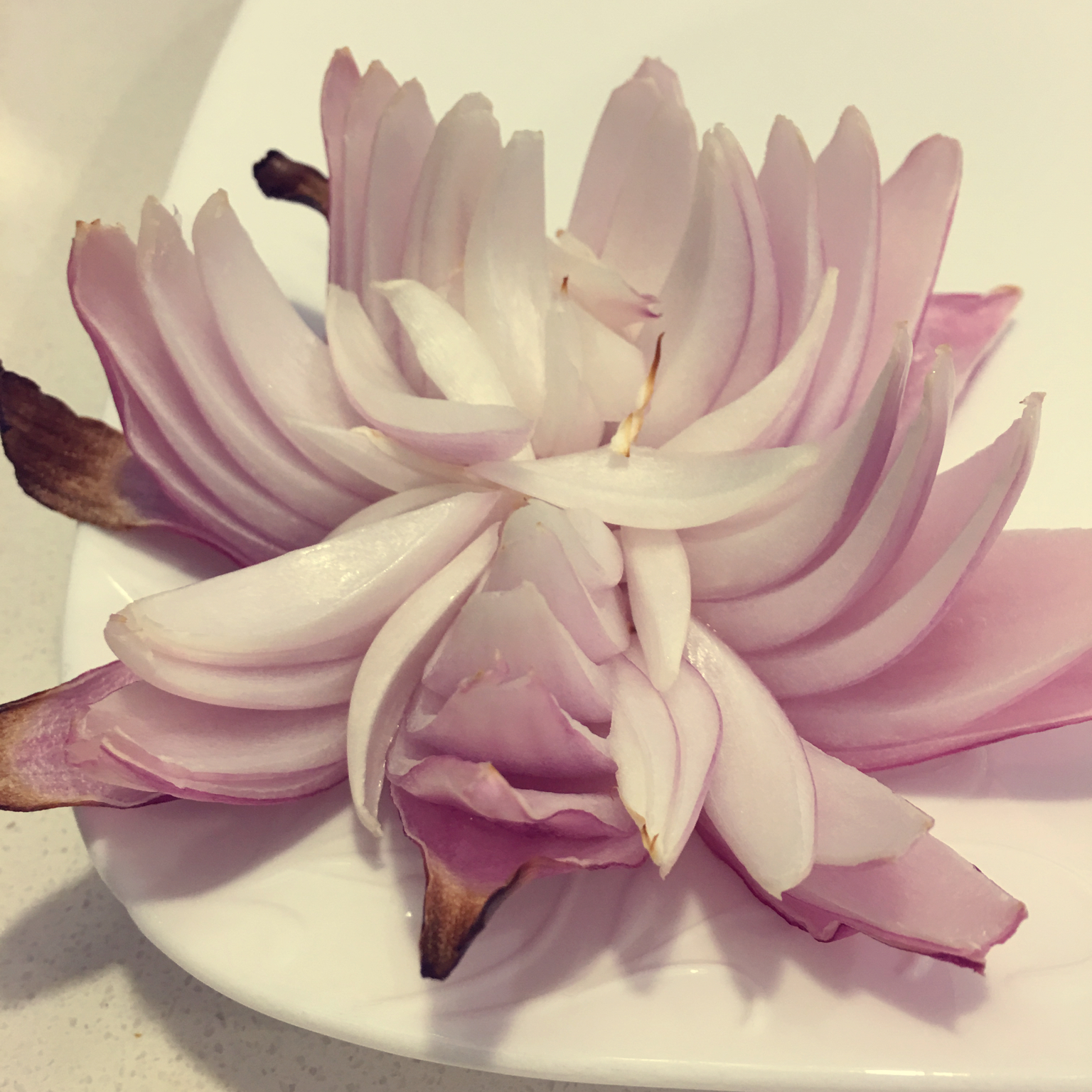 洋葱花