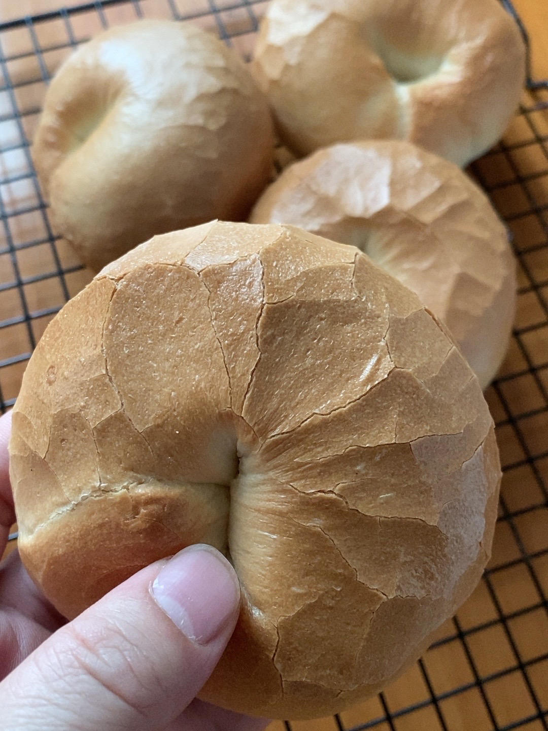 蓝莓乳酪贝果