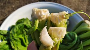 昆明传统水腌菜（苦菜外地叫芥菜）的做法 步骤39