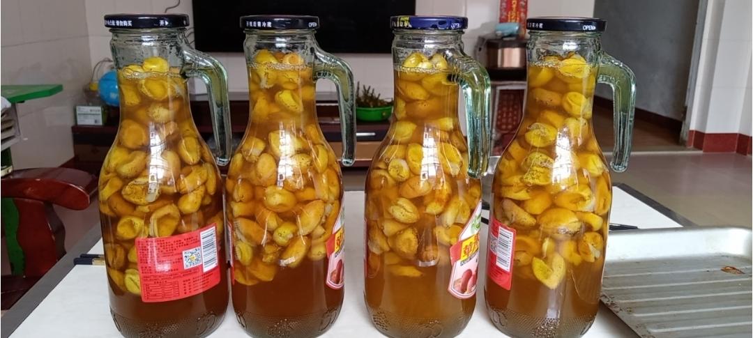 蜂蜜浸黄皮（越久越靓）