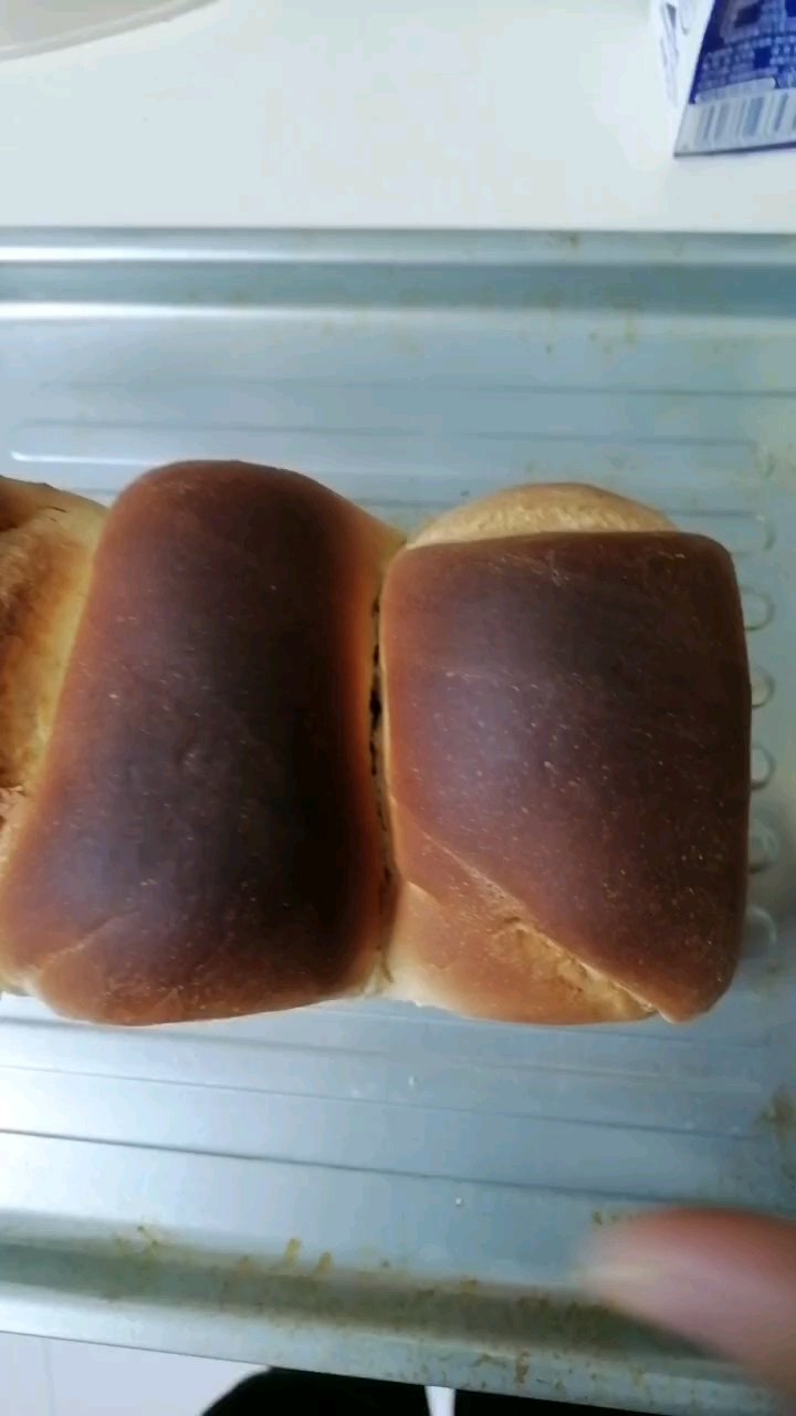适合新手的通用面包面团（免揉面机、无需揉出膜）