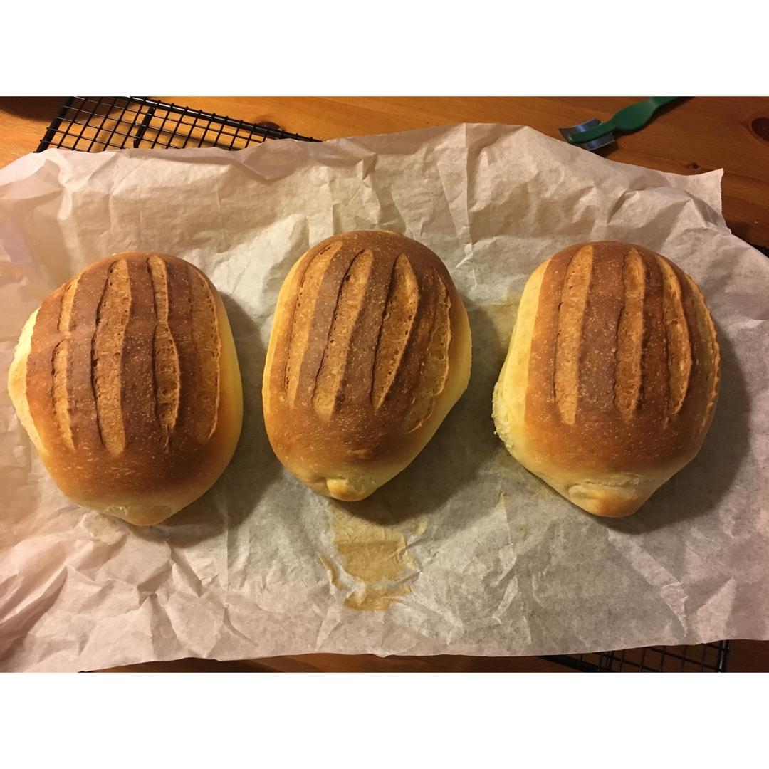 鲜奶哈斯