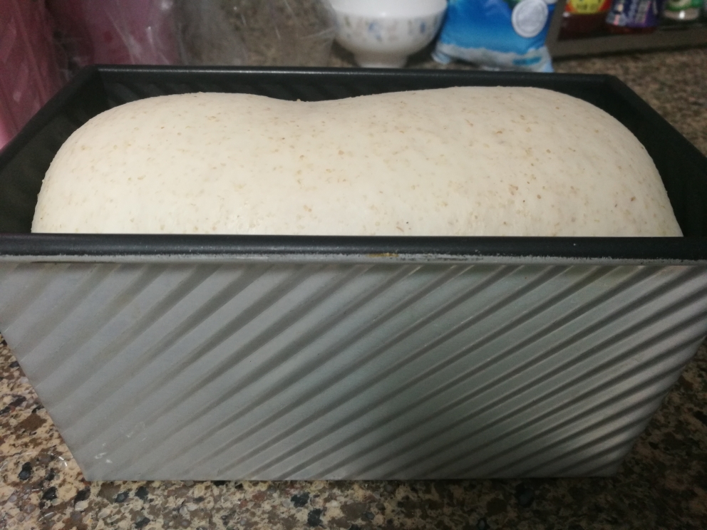 低脂全麦面包（BBA）的做法 步骤12