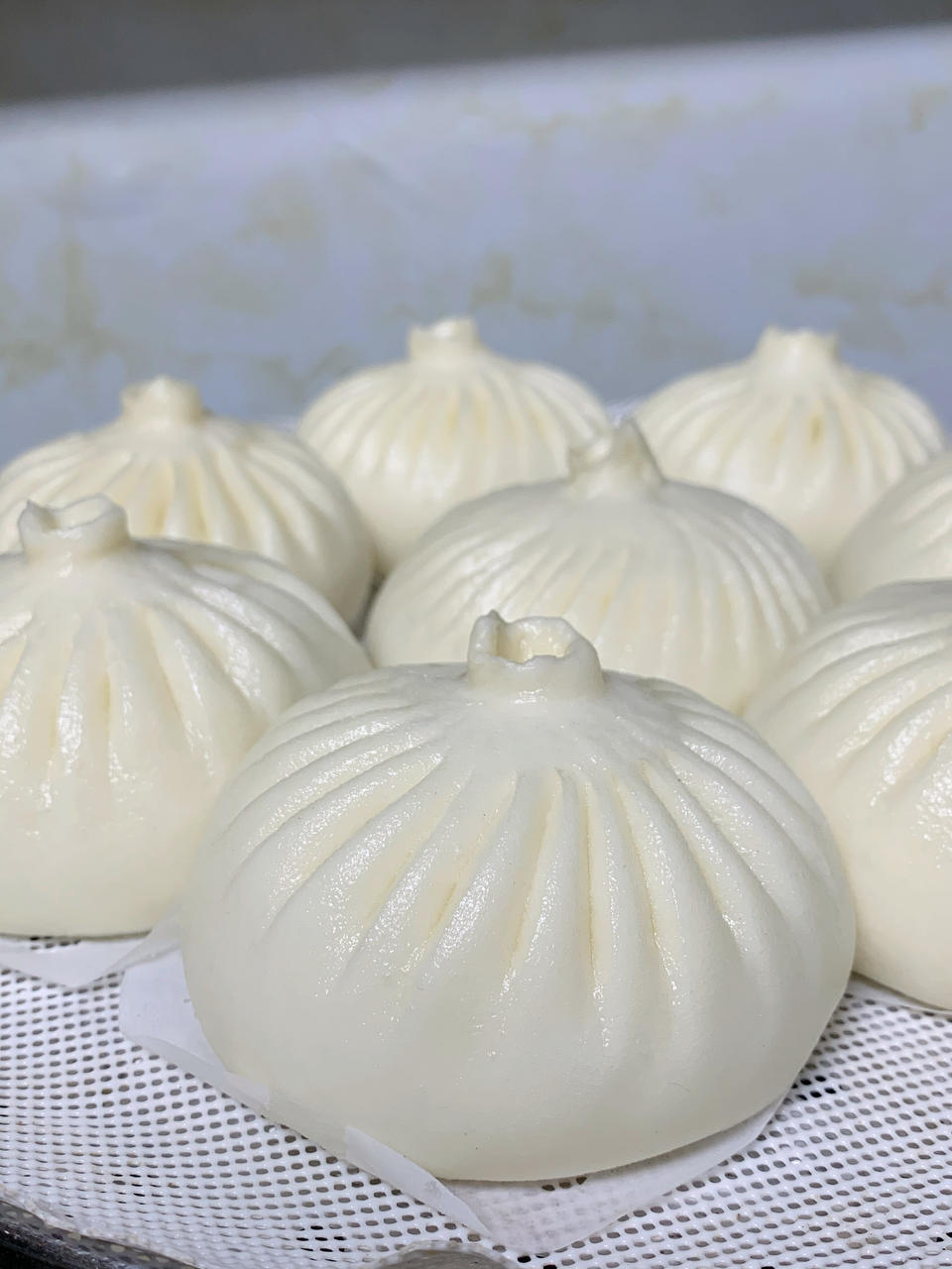 手工包子(提褶包)