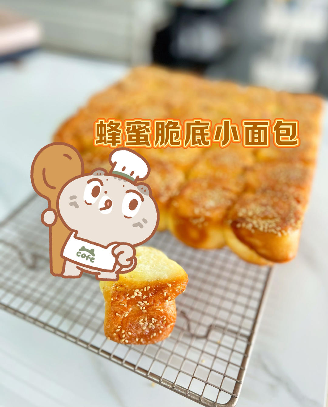 被邻居追着问的蜂蜜脆底小面包｜好吃到停不下来