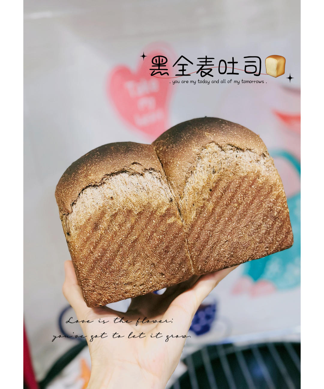 低卡全麦吐司（最棒的方子没有之一）