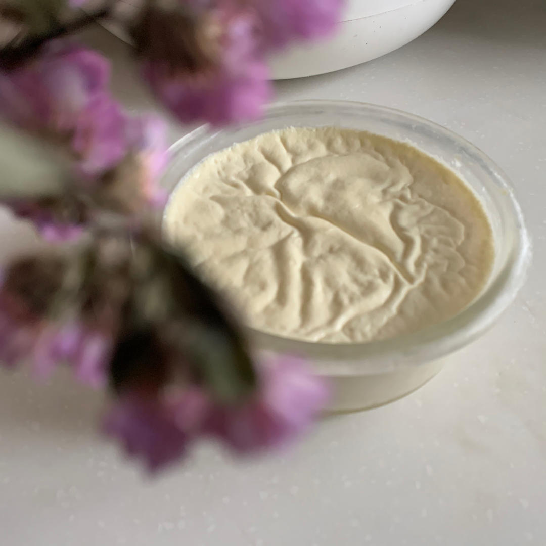 教你做出完美双皮奶 Double-skin Milk Custard