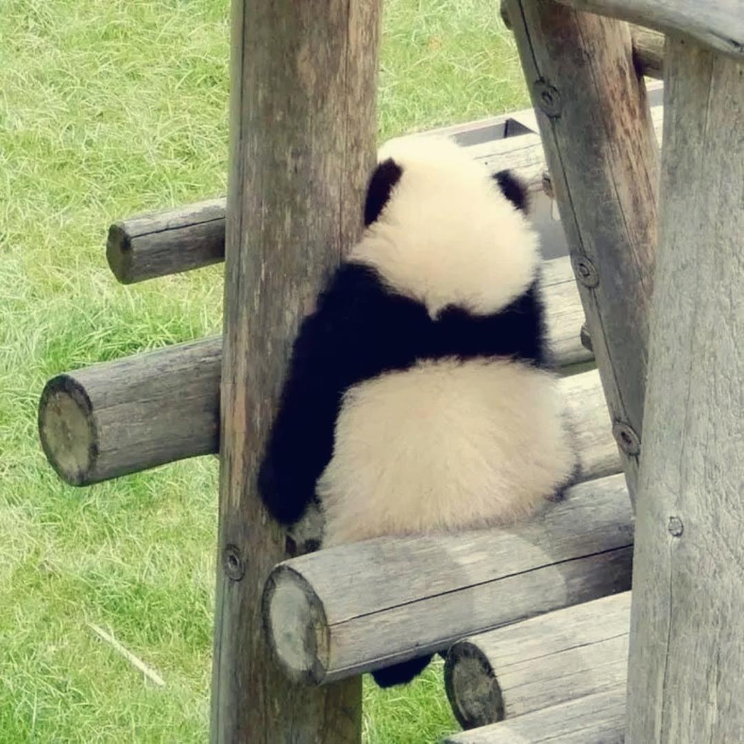 一年只下几次厨