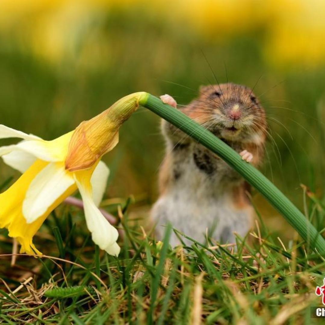 做一个自我投喂的吃货