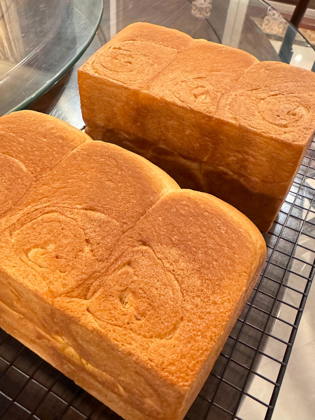 全麦吐司(波兰种)