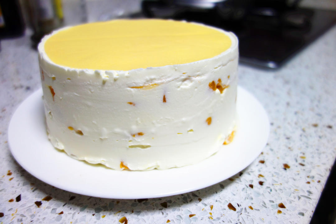 芒果千层（手残党福音）