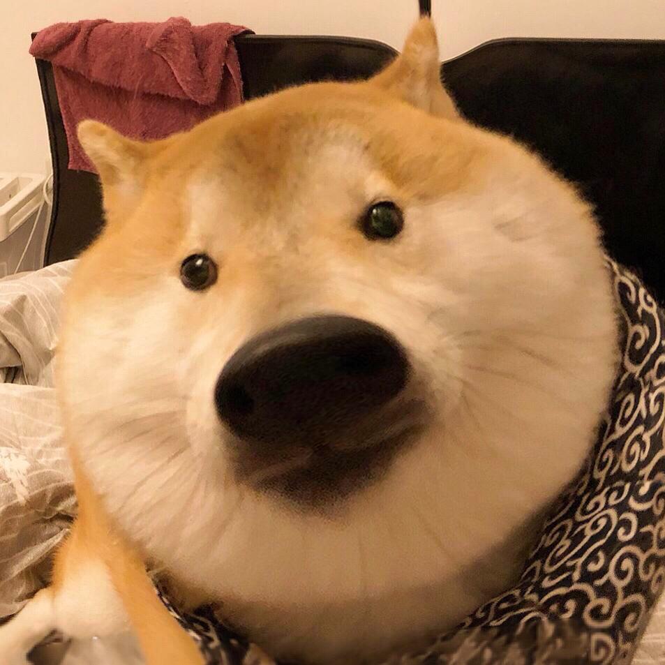 奥特漫_