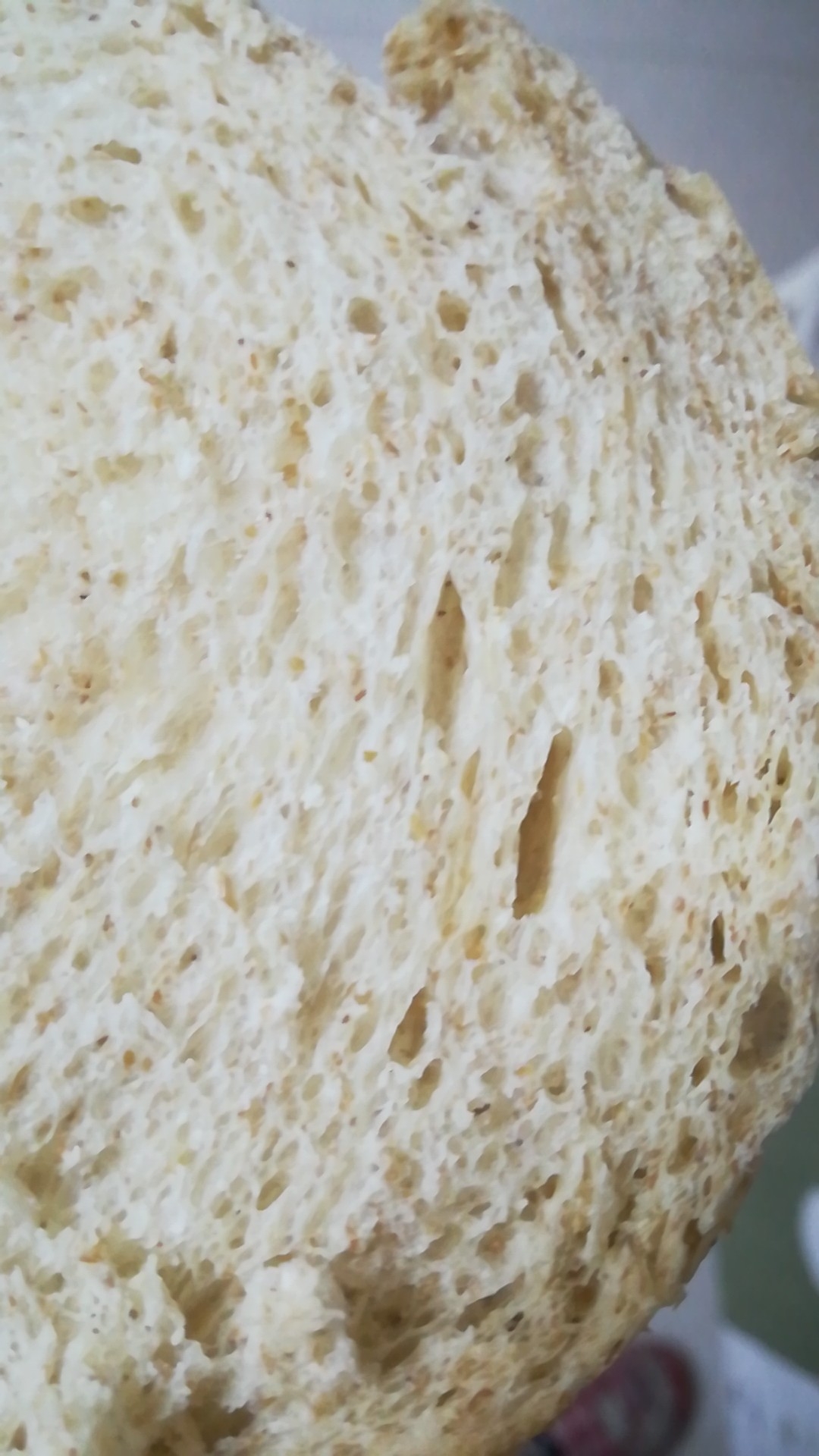 全麦面包面包机版的做法 步骤2