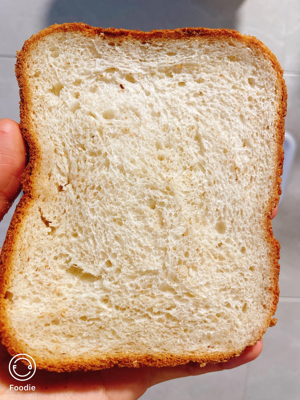 咸盐吐司 -- 松下PT1000面包机版