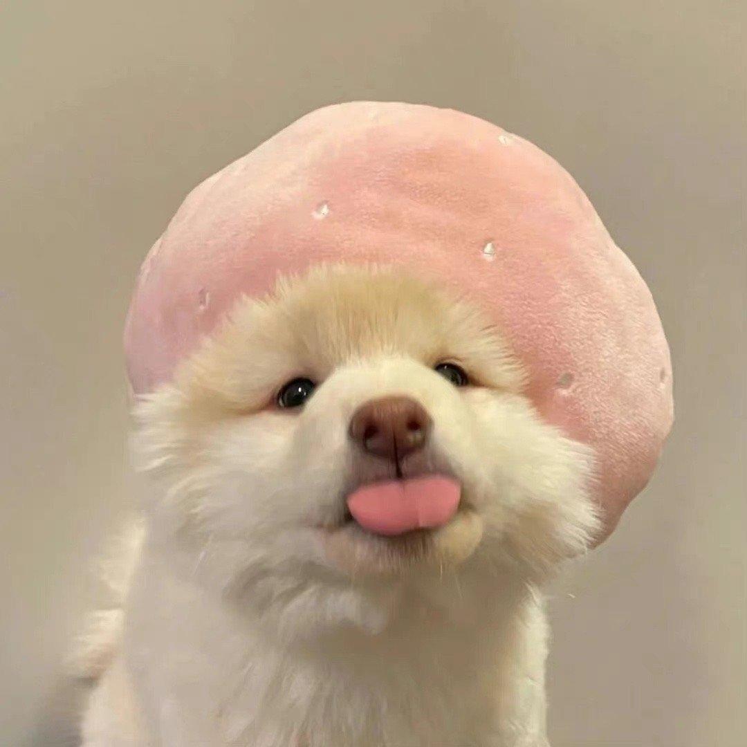 呆呆加油