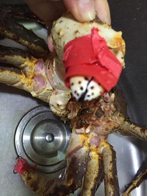 咖喱鲜活阿拉斯加帝王蟹（皇帝蟹/长脚蟹）的做法 步骤1