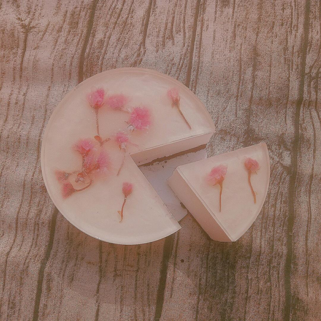 樱花酸奶慕斯蛋糕（免烤）