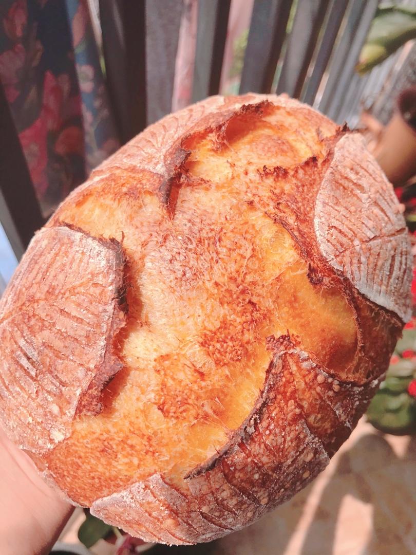 欧包切面组织气孔