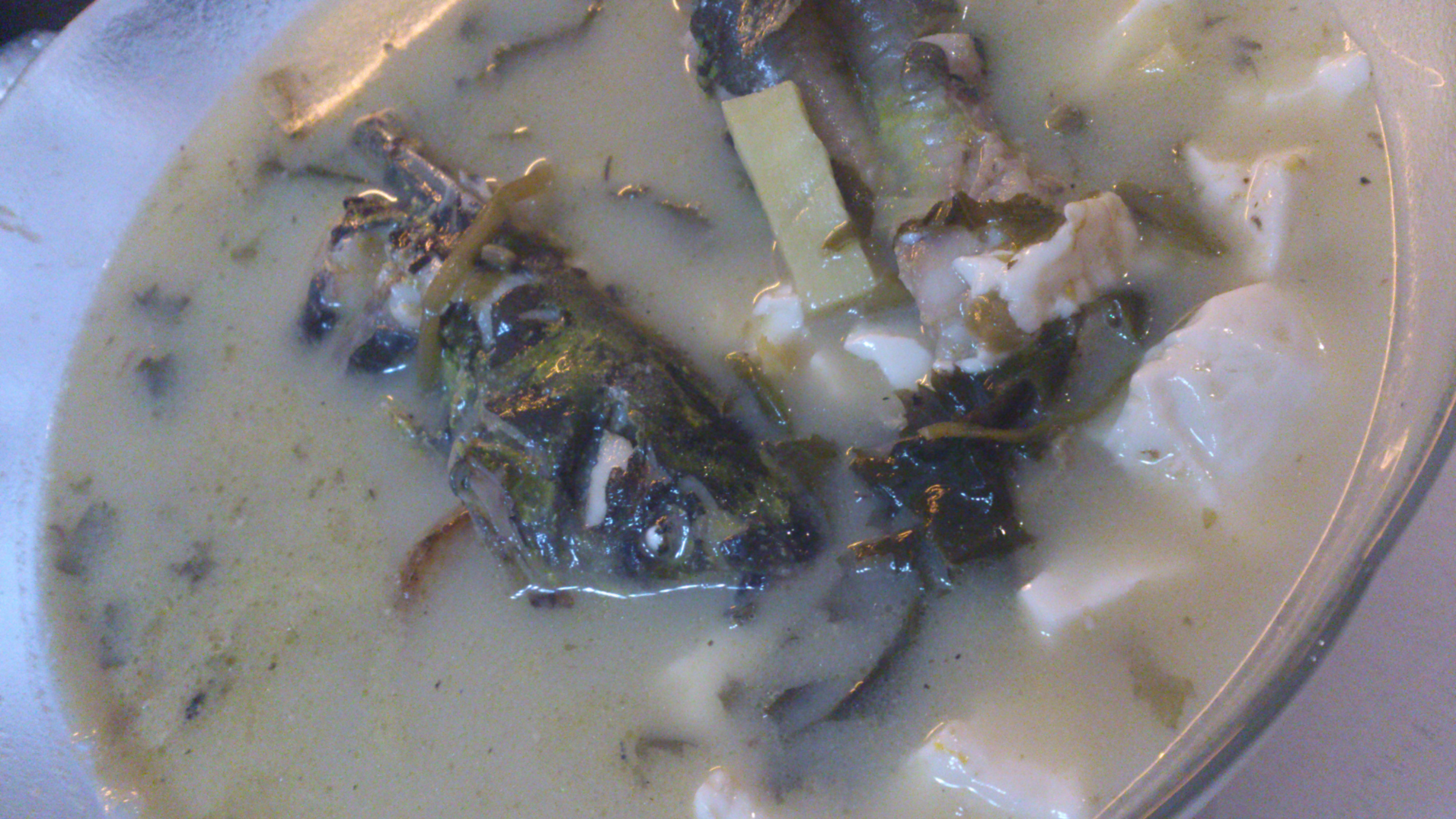 咸菜豆腐昂刺鱼