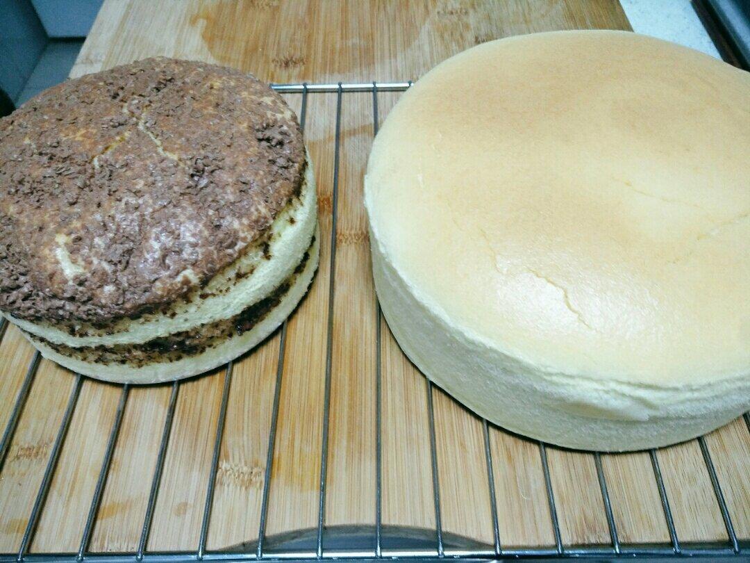 《Tinrry+》古早蛋糕 （10英寸配方）