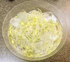 콩나물 냉채무침 韩式芥末凉拌豆芽菜的做法 步骤7
