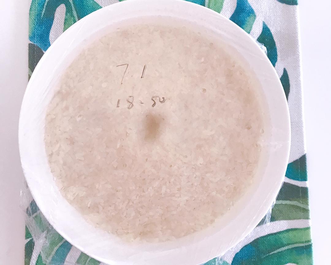 自制美味酒酿-小美版的做法