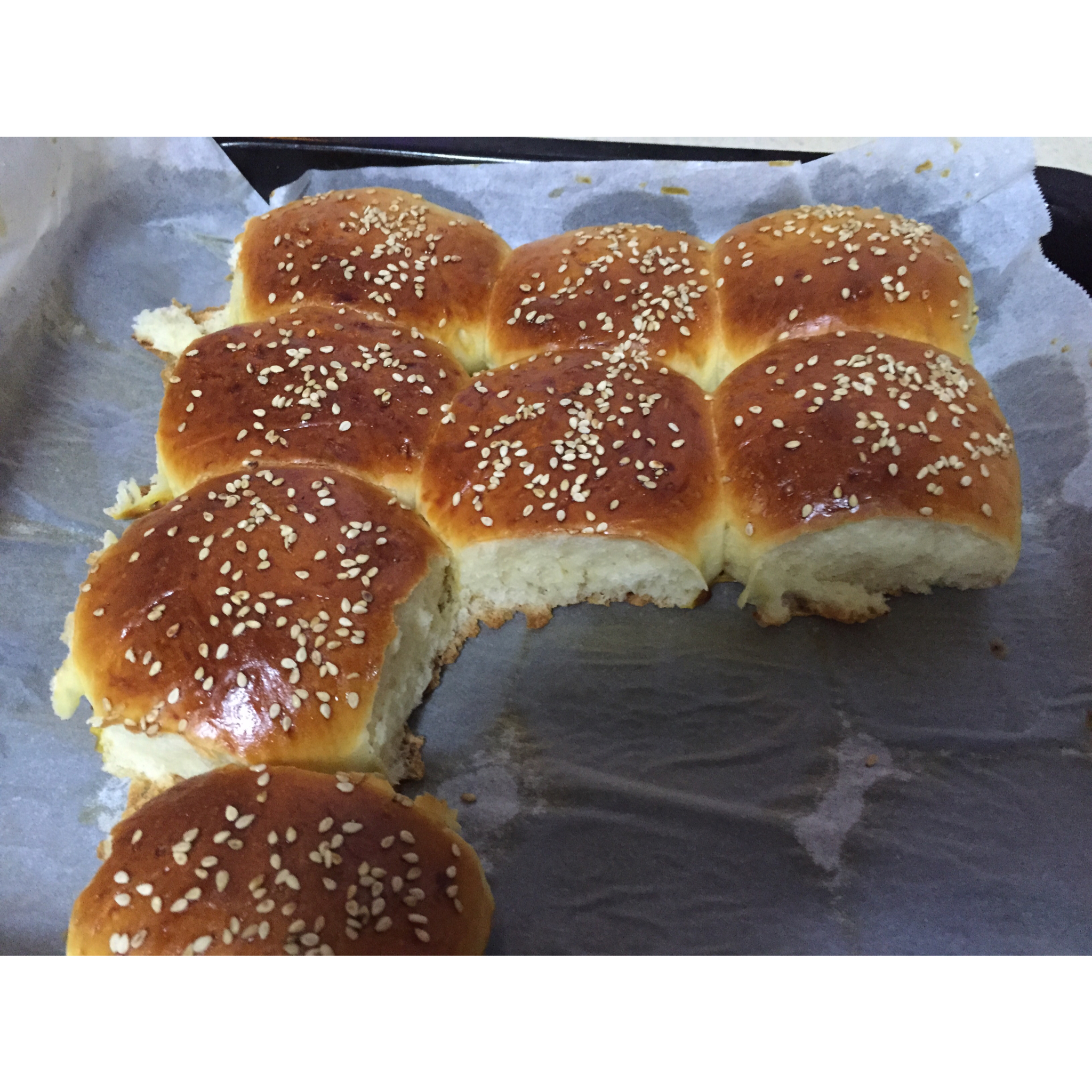 鲜奶油小餐包（一次发酵）