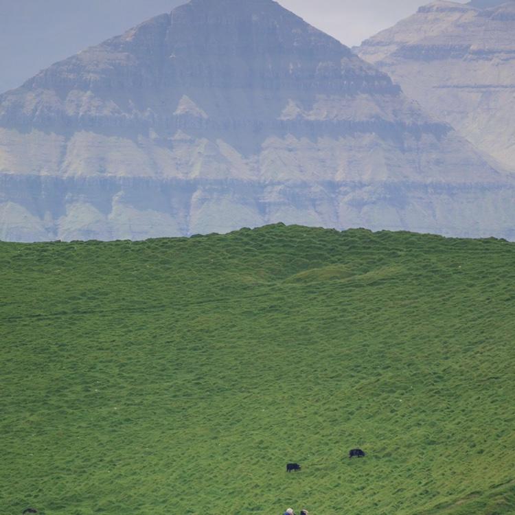 就是要做自己爱吃的好吃的喵