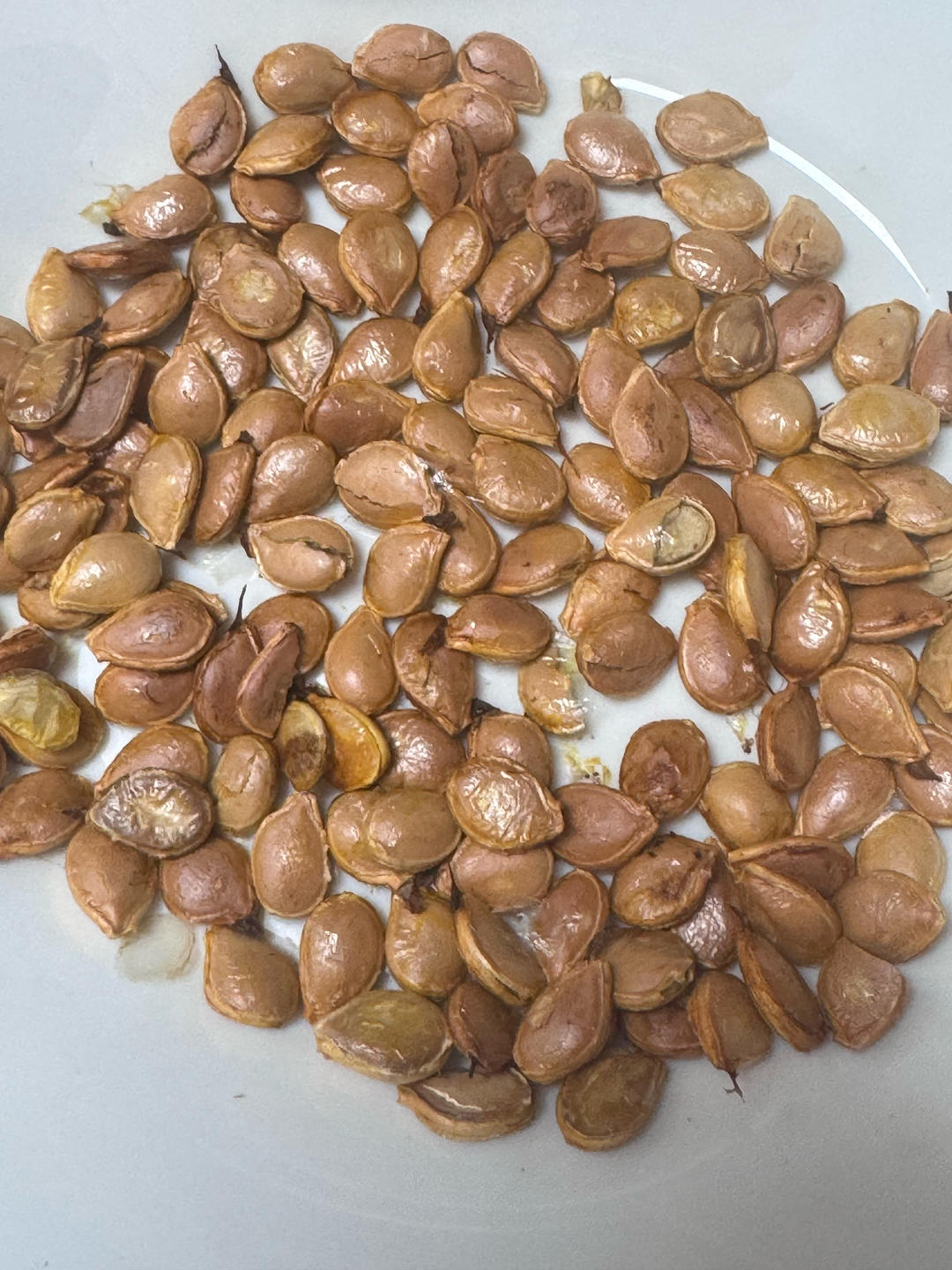 烤箱版贝贝南瓜