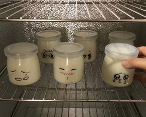 酸奶（发酵箱版）的做法 步骤14