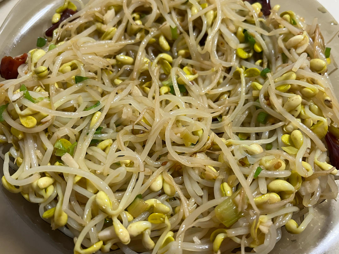 炒黄豆芽