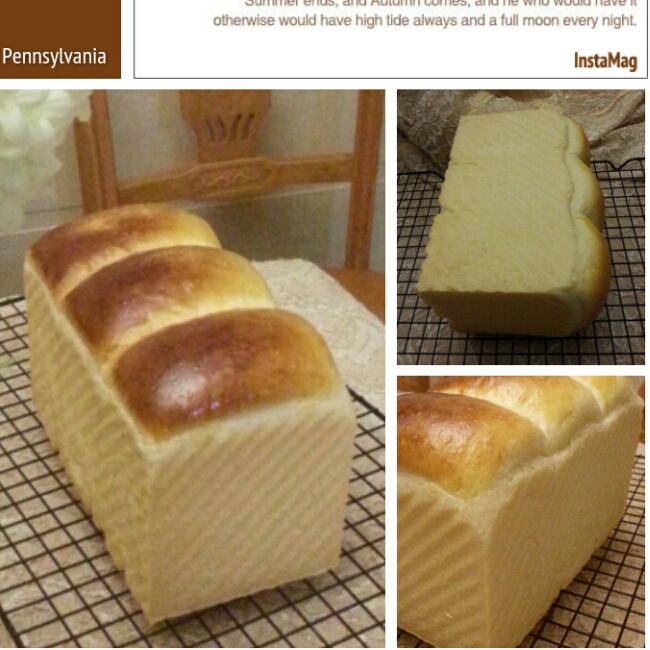 【北海道吐司】体验经典-妃娟100%中种，冷藏冰种的美味