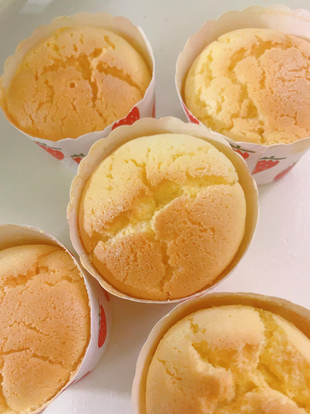 只用淡奶油做的乳酪蛋糕